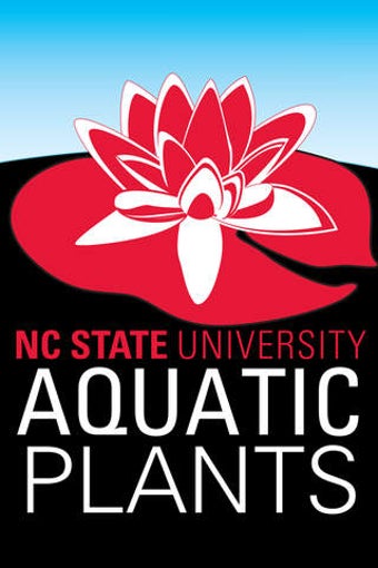 Image 0 for Aquatic Plants