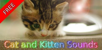Image 0 for Cat and Kitten Sounds