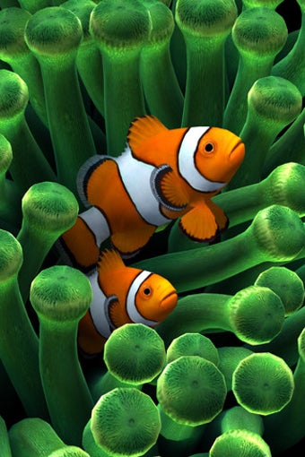 Imagen 1 para Sim Aquarium - Anemone Cl…