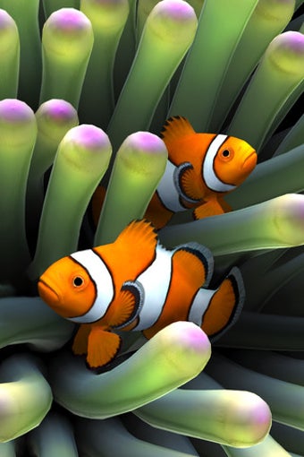 Imagen 0 para Sim Aquarium - Anemone Cl…