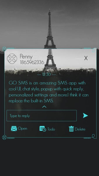 Image 1 for GO SMS FLYING THEME