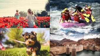 Image 1 for VideoWall for Windows 10