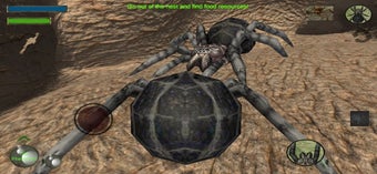 Image 3 for Spider Colony Simulator