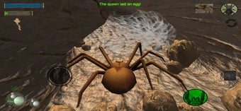 Image 0 for Spider Colony Simulator