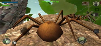 Image 2 for Spider Colony Simulator