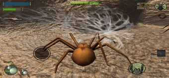 Image 1 for Spider Colony Simulator
