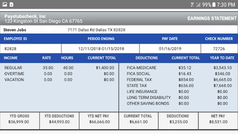 Image 3 for Global Payslip Paystub Pa…