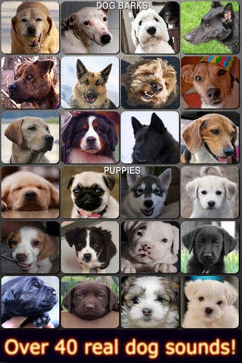 Image 0 for Dog and Puppy Sounds (FRE…
