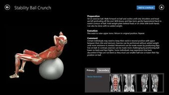 Image 1 for iMuscle 2 for Windows 10