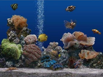 Image 0 for SereneScreen Marine Aquar…