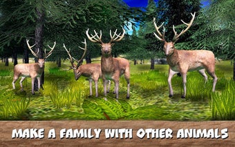 Imagen 2 para Wild Forest Survival: Ani…