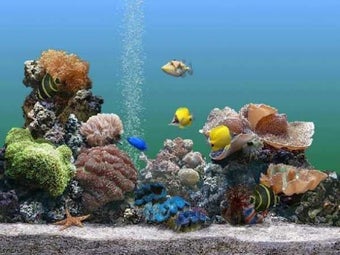 Image 0 for SereneScreen Marine Aquar…