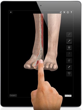 Image 0 for Ankle and Foot Pro III