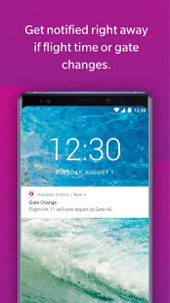 Image 1 for Hawaiian Airlines