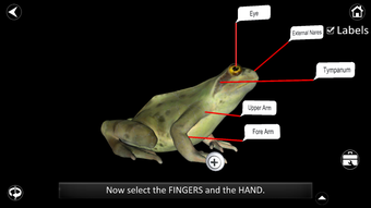 Imagen 3 para Dissection Lab
