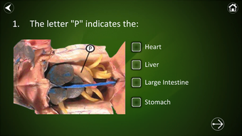 Imagen 0 para Dissection Lab