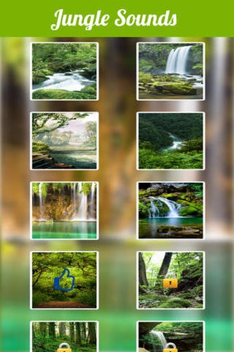 Imagen 0 para Jungle Sounds -Nature Sou…
