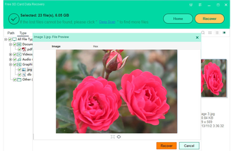 Image 0 for Free Any Data Recovery