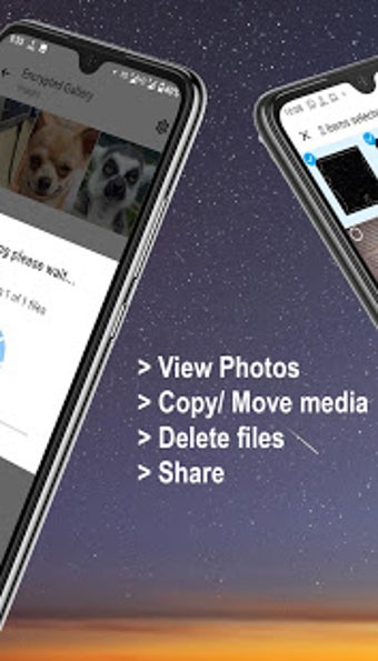 Image 0 for Gallery with Encryption