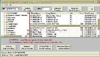 Imagen 0 para DelinvFile