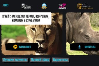 Image 0 for Virry. Feed the Lion, bat…