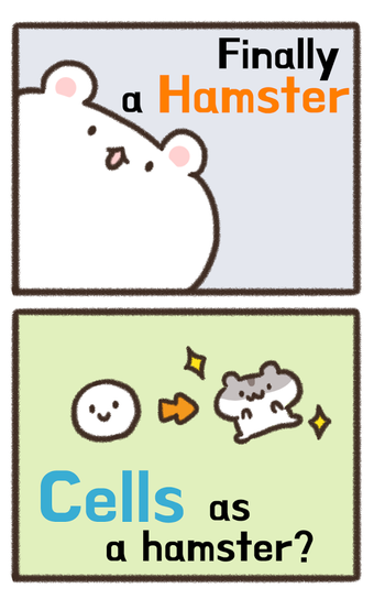 Imagen 2 para Hamster x Hamster