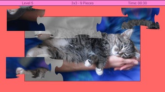Image 0 for Cats Puzzle