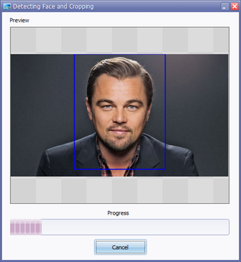 Image 0 for Face Crop Jet