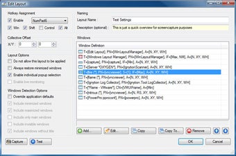 Imagen 3 para Windows Layout Manager