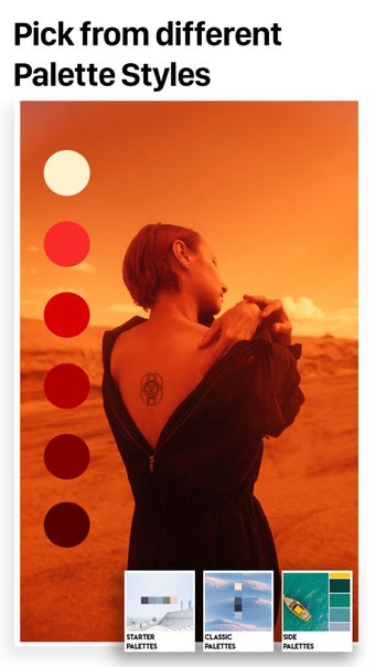 Image 2 for Palette Republic