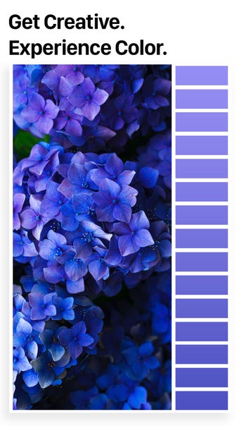 Image 1 for Palette Republic