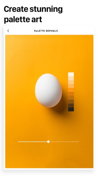 Image 0 for Palette Republic