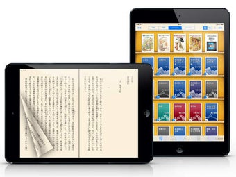 Image 0 for iBunkoHD