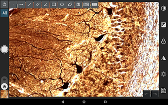 Image 2 for EPview