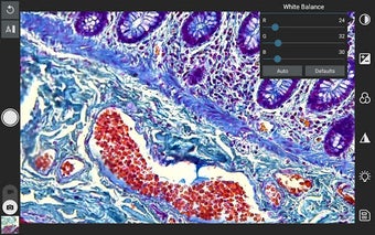 Image 1 for EPview