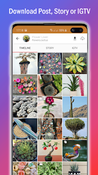 Image 2 for Video Downloader for Inst…