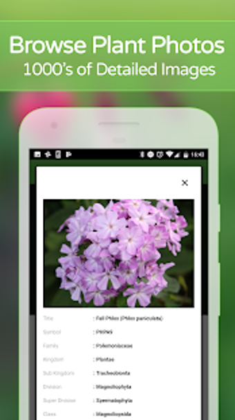 Imagen 1 para PlantSnap - Identify Plan…
