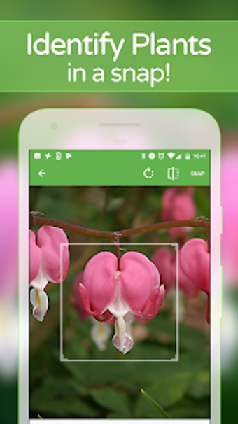 Imagen 0 para PlantSnap - Identify Plan…