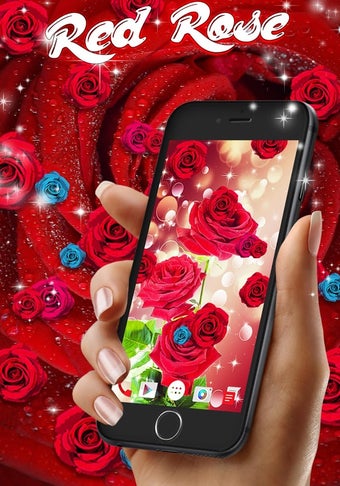 Image 0 for Red Rose Live Wallpaper