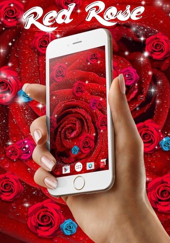 Image 1 for Red Rose Live Wallpaper