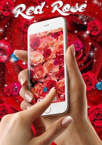 Image 2 for Red Rose Live Wallpaper