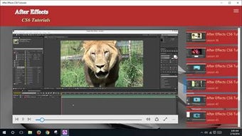 Image 2 for After Effects CS6 Tutoria…