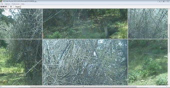Image 0 for Picture Slide