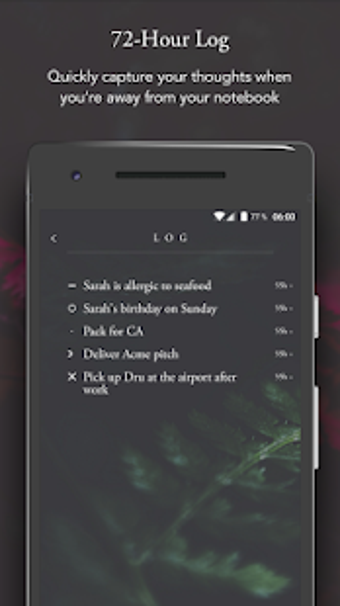 Imagen 1 para The Bullet Journal Compan…