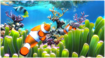 Image 0 for Sim Aquarium