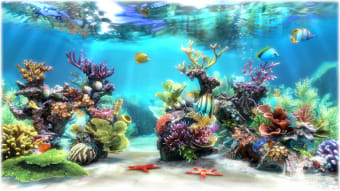 Image 2 for Sim Aquarium