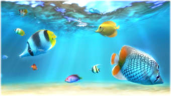 Image 3 for Sim Aquarium