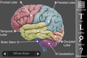 Image 0 for 3D Brain