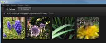 Image 0 for Lytro for Windows