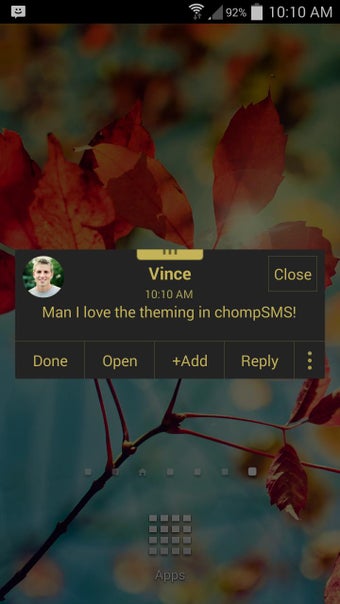 Imagen 2 para Gold Leopard Theme (chomp…